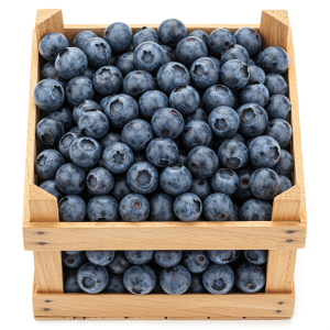 Borówka amerykańska